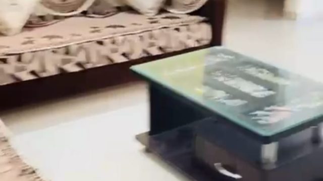 WhatsApp Image 2026-03-13 at 15.45.26