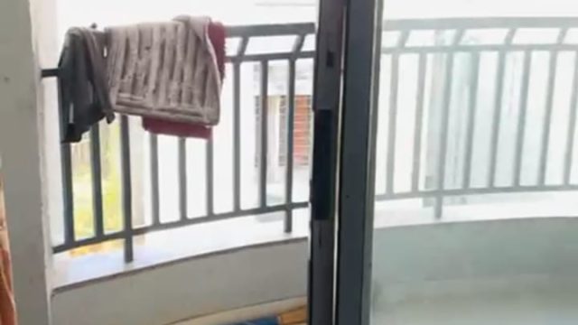 WhatsApp Image 2026-03-13 at 15.45.29 (3)