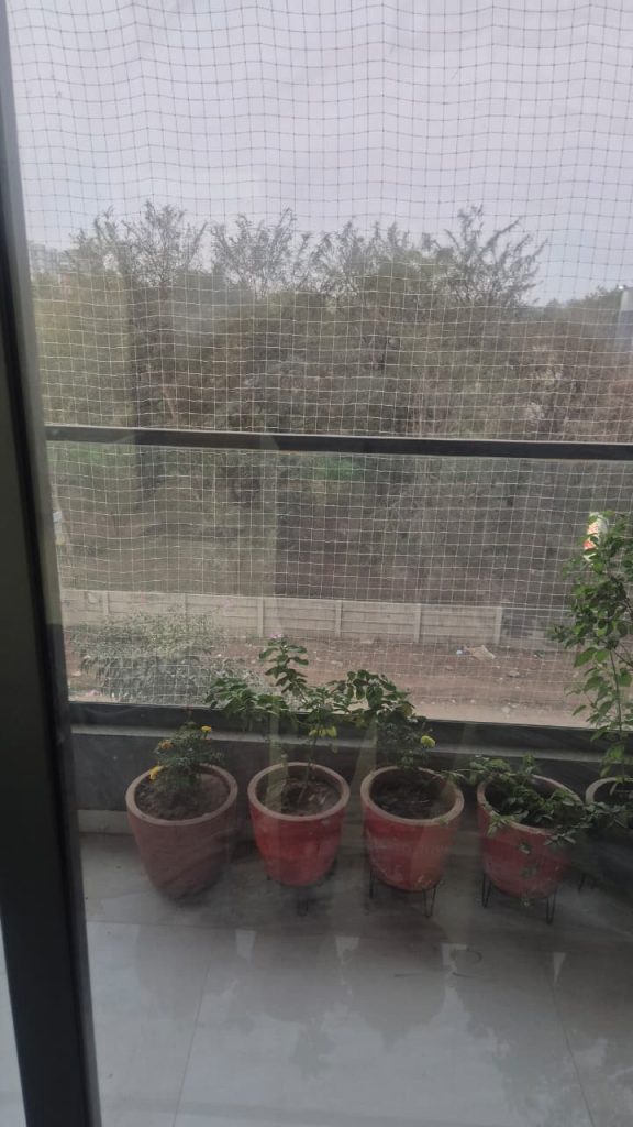 WhatsApp Image 2026-04-06 at 11.55.57