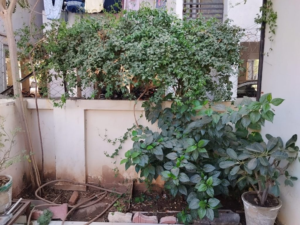 WhatsApp Image 2026-04-06 at 18.51.29