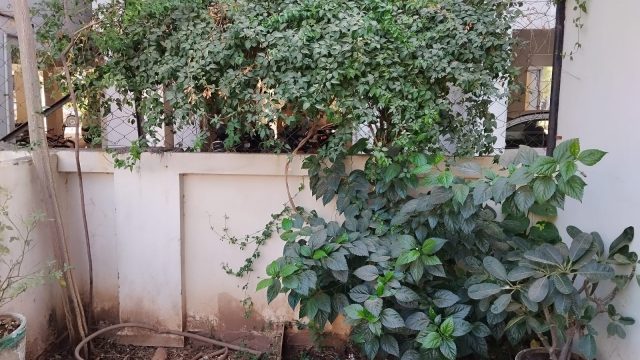 WhatsApp Image 2026-04-06 at 18.51.29