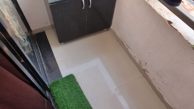 WhatsApp Image 2026-04-11 at 12.27.41 (1)